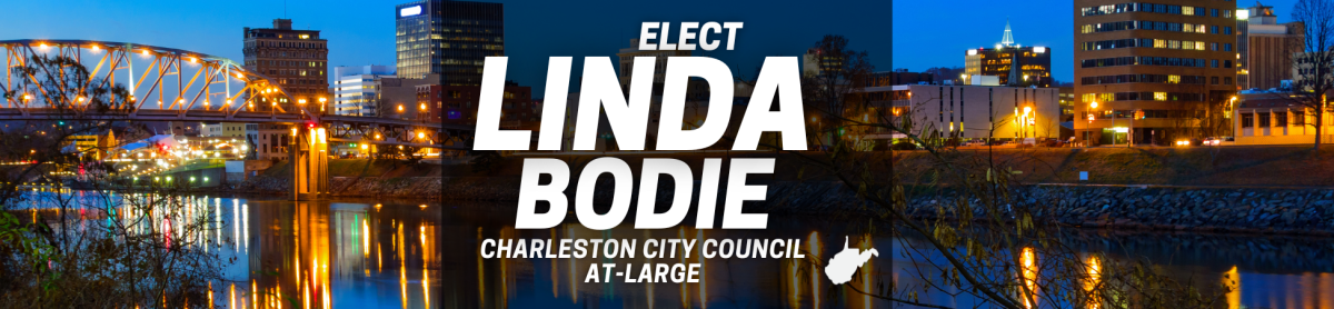 Vote Linda Bodie for City Council